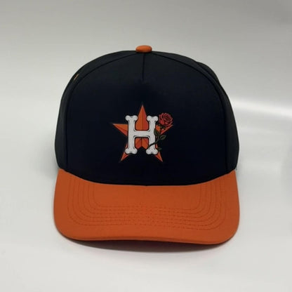 HOUSTON ASTROS