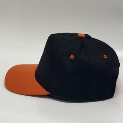 HOUSTON ASTROS